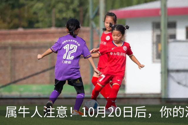 属牛人注意！10月20日后，你的清闲日子要暂时叫停了